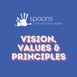 Vision, values and principles