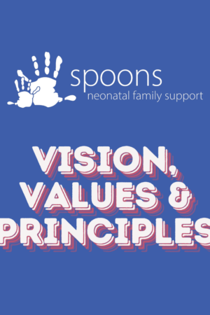 Vision, values and principles